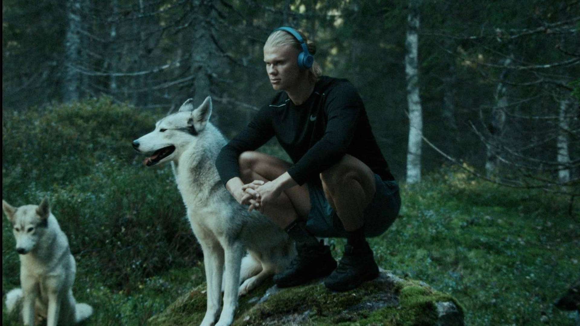 項投資出現 項投資出現